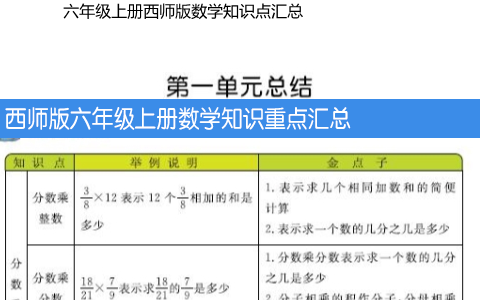 西师版六年级上册数学知识重点汇总 共7页