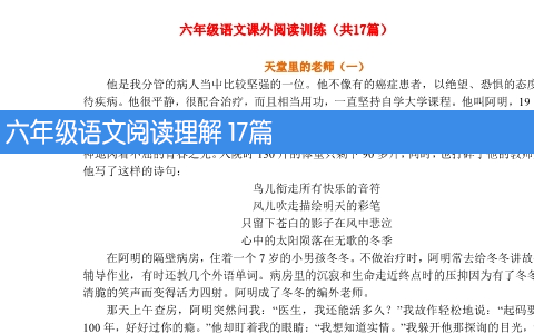 六年级语文阅读理解练习 17篇 共21页