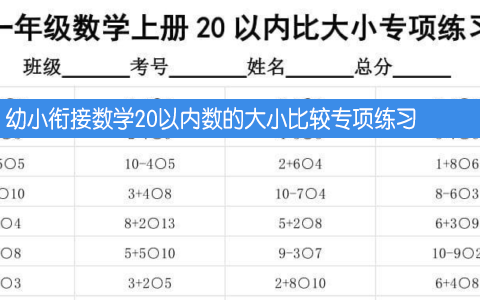 幼小衔接数学20以内数的大小比较专项练习