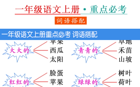 一年级语文上册重点必考 词语搭配