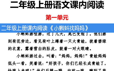 二年级上册课内阅读 《小蝌蚪找妈妈》
