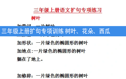 三年级上册扩句专项训练 树叶、花朵、西瓜