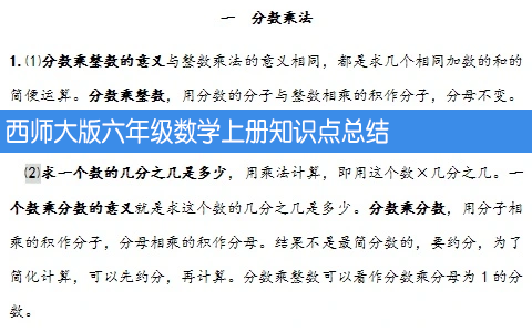 西师大版六年级数学上册知识点总结