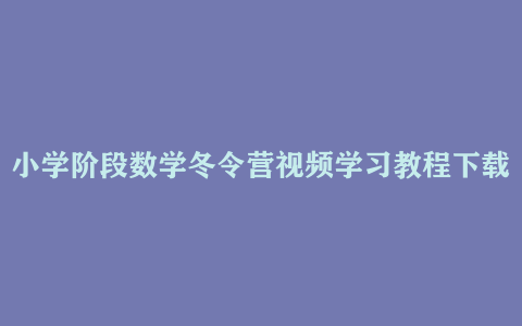 小学阶段数学冬令营视频学习教程下载