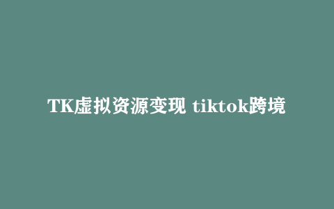 TK虚拟资源变现 tiktok跨境电商教程下载