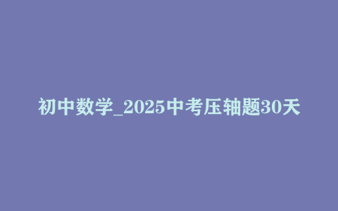 初中数学_2025中考压轴题30天10练-新定义大合集