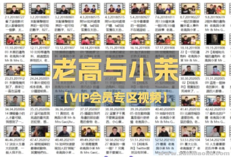 老高与小茉【VIP会员专区视频】【7.85 GB】