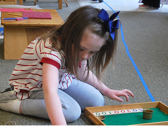 蒙特梭利幼儿早教全套资料 0-6 岁五大领域教案 + 教具图解 + 理论手册 可打印 Word/PDF